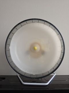 Large Hamster Wheel for Small Animals