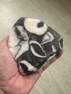 Fossilized rock fish tank aquarium decor desktop display collection