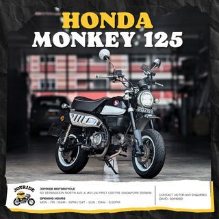 HONDA MONKEY 125 | 2019 | 2029 | GROM 125