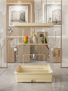Bird Cage. parrot cage. Suitable for Conure , lovebird , budgie, Quaker and cockatiel. Brand New. Ample space to roam around. Approx size 45x28x68 cm. Bird Cage come with perch & cups only.