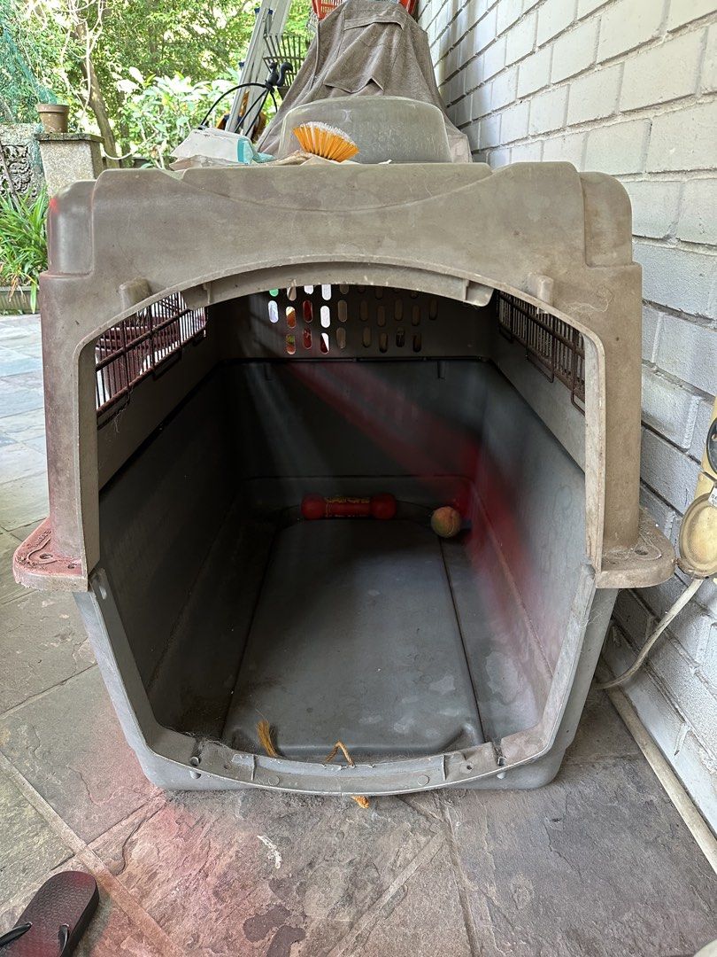 Large Carrier Crate for Big Dogs (Category: Homes & Other Pet Accessories) located in Singapore. Submitted by gdownski (Listing ID 1455988742, Image 2). Description: - Large carrier crate suitable for big dogs. - Well used. Made from durable, easy-to-clean plastic. - Features a secure metal grate for ventilation and visibility. - Provides a safe and comfortable space for your pet. - Ideal for travel, vet visits, or as a den. - Available for free 