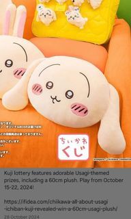 Usagi Kuji Prize B
