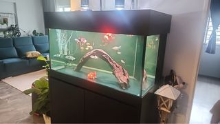 4ft by 2ft by 2ft sum tank