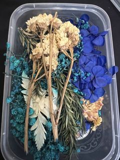 Natural Real Dried Flowers for Art Craft Mixed Soap, Candle, Scrapbook, DIY,