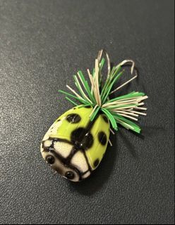 Strike Ladybug Topwater 40 (Fishing bone baitcast ocea rod reel shimano daiwa ima lure jig Rapala)
