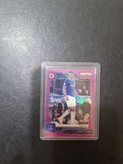[Numbered] panini everton/99 mina