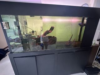 Cheap Large with sump Tank