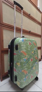 Cute Cabin Luggage