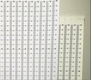 Transparent Sticker Ruler 30cm 2pcs